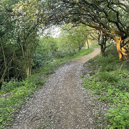 Life Of Filey 度假居